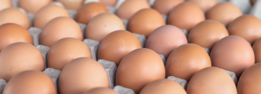 ovos mercado interno