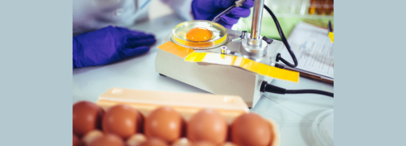 ovos pesquisa qualidades nutricionais