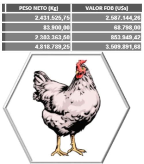 Paraguay-exportaciones-carne-ave-aumentan-a-septiembre-2020