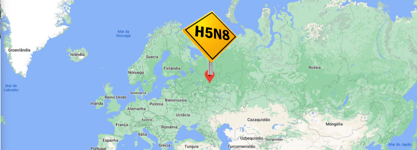 Influenza Aviária H5N8 Rússia