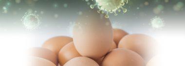 How to protect your incubation plant against biosecurity threats