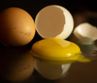 Iamgen Revista How to assess internal egg quality?