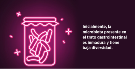Biomin bacteria