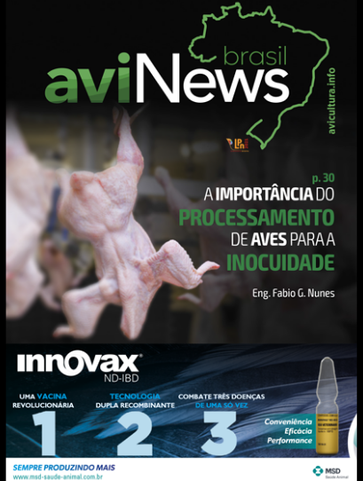 aviNews Brasil setembro 2020