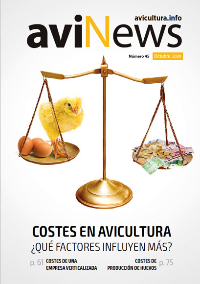 aviNews España Octubre 2020
