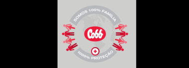 Cobb reforça cuidados com a segurança do trabalho em nova campanha