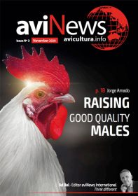 AviNews International June 2025