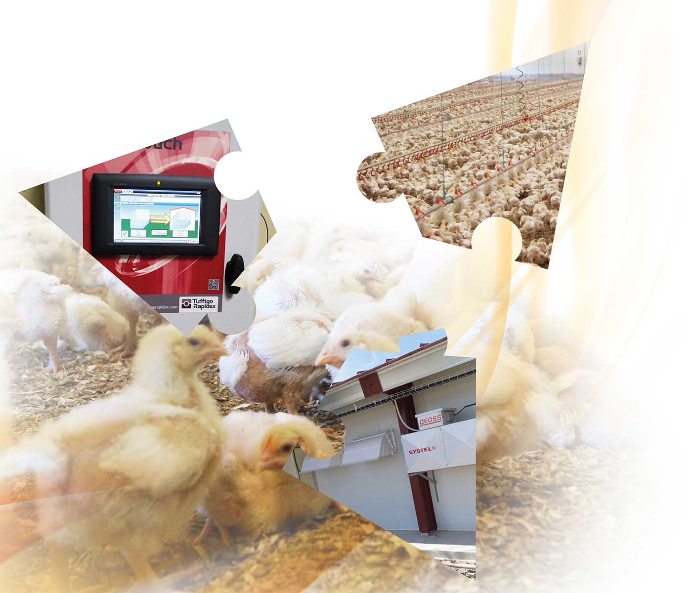 El puzle de la eficiencia energética en las explotaciones avícolas