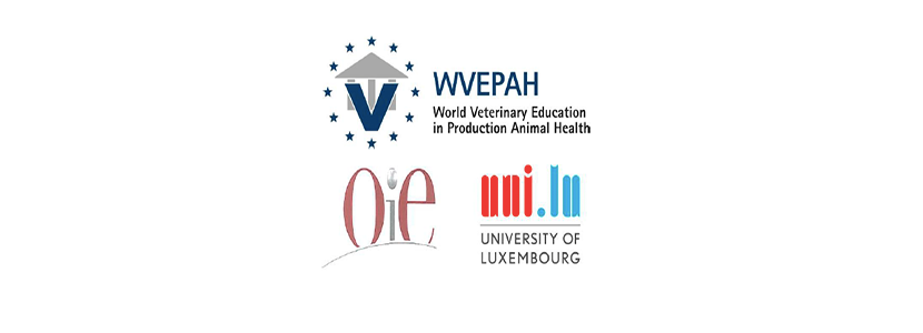 Programas de capacitación y de certificación de la WVEPAH