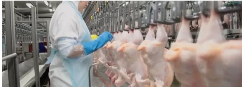 Brasil-Exportación-carne-pollo-aumento-Asia-África-Europa-2020