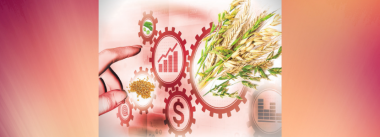 Imagen Revista Custo Alimentar em Foco