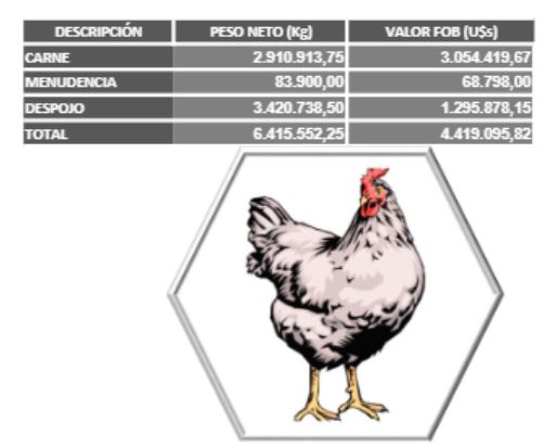 Carne-ave-paraguaya-Exportaciones-crecen-23%-en-año-2020