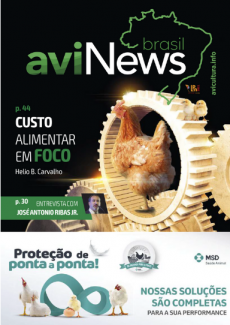 aviNews Brasil dezembro 2020 