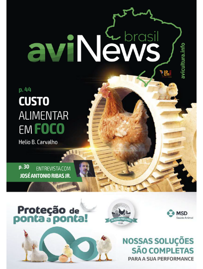 aviNews Brasil dezembro 2020