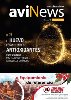 aviNews España Diciembre 2020 
