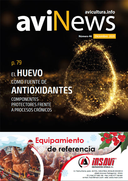 aviNews España Diciembre 2020