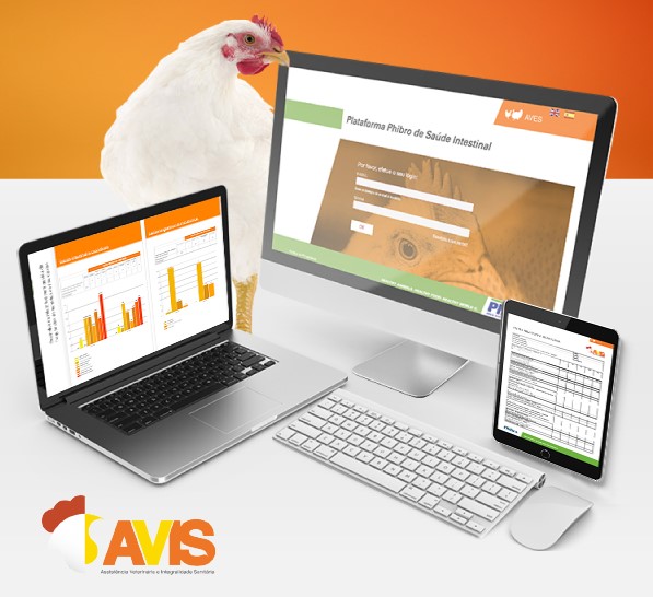 Sistema AVIS, da Phibro, oferece assistência veterinária, monitoramento sanitário e gestão da informação