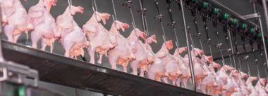 Imagen Revista Custos de Produção e Condenações Frigoríficas