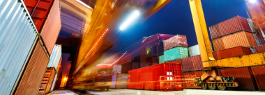 American poultry and egg exports set new records during 2020