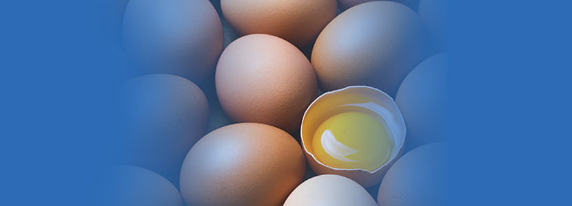 El Plan ONE® ofrece soluciones nutricionales personalizadas para cada tipo de producción avícola