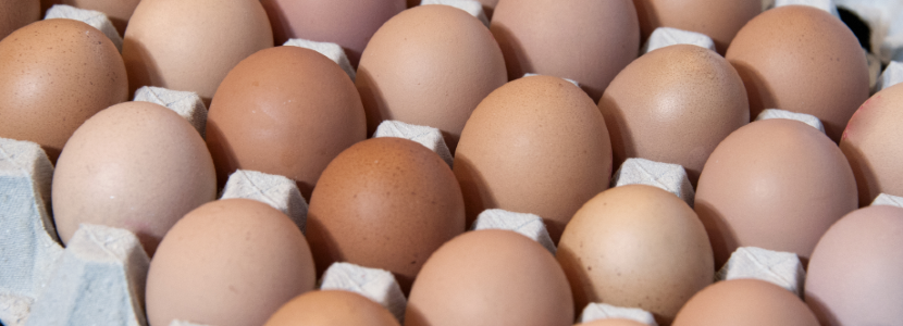 Industria avícola argentina reacciona frente a etiquetado de huevo