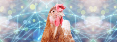 As quatro Revoluções Industriais e o Campo 4.0