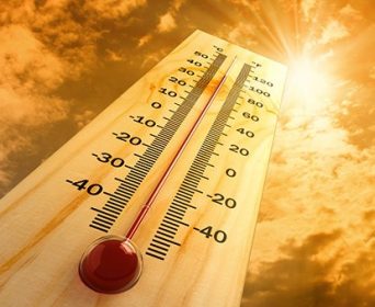 Imagen Revista Be prepared to prevent heat stress in layers