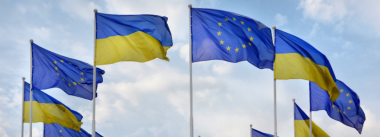 Ukraine will resume poultry exports to EU