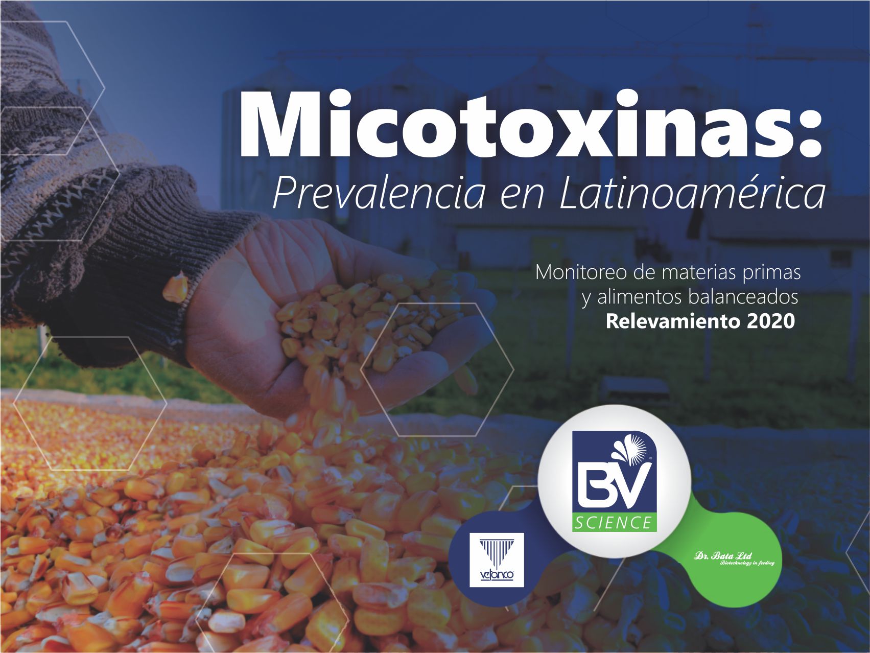 Vetanco lança e-Book de Micotoxinas: Prevalência na América Latina em...