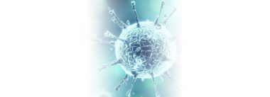 Imagen Revista Panorama Actualizado de la Bronquitis Infecciosa