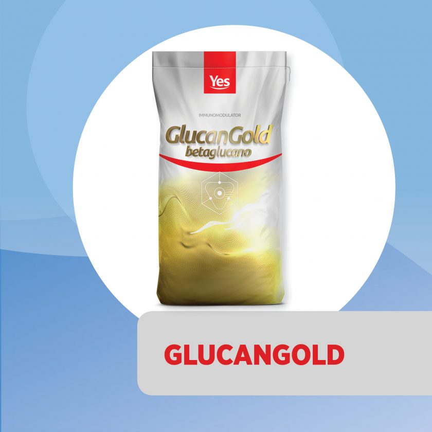 GlucanGold, respuesta inmunitaria efectiva, rápida y extendida con 60% betaglucanos purificados
