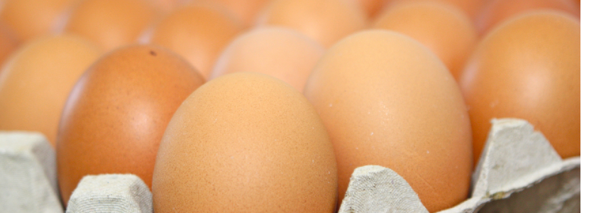 Argentina y Chile han autorizado la importación de huevos desde Brasil -  aviNews, la revista global de avicultura