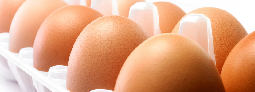 New disinfection technology for packed eggs developed by Russian researchers