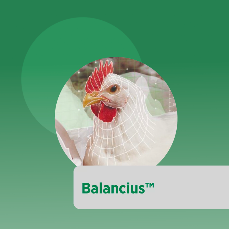 Balancius™, la innovación diseñada para desbloquear el potencial oculto de la funcionalidad gastrointestinal