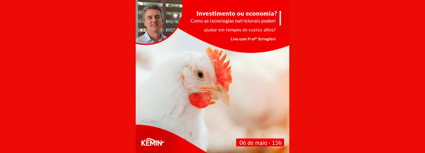 Kemin debate estratégias nutricionais para melhorar desempenho sem impactar custos da dieta das aves