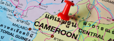 مزارعو الدواجن في الكاميرون يحثون أوروبا على تخفيف القيود التجارية