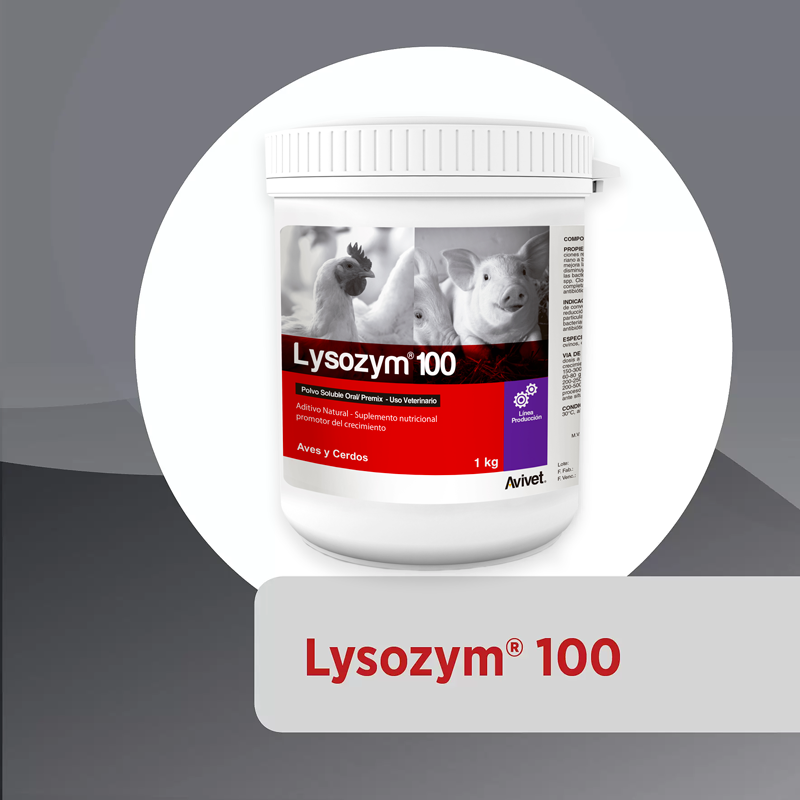 Lysozym® 100, promotor de crecimiento