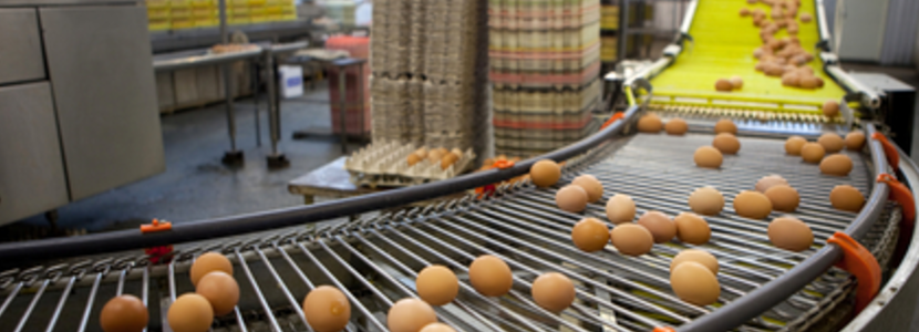 exportaciones-de-huevos-Brasil-Crecen-143%-este-2021