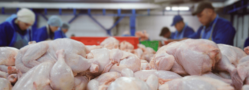 México-establece-cupo-importación-carne-pollo-preferencia-arancelaria
