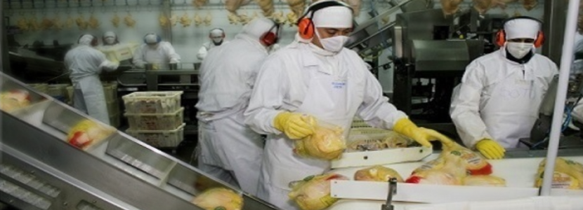 Argentina reanuda exportación de carne de ave a la Unión Europea