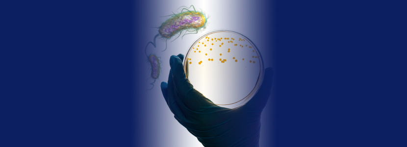 Alternativas naturales para el control de las Escherichias coli multirresistentes
