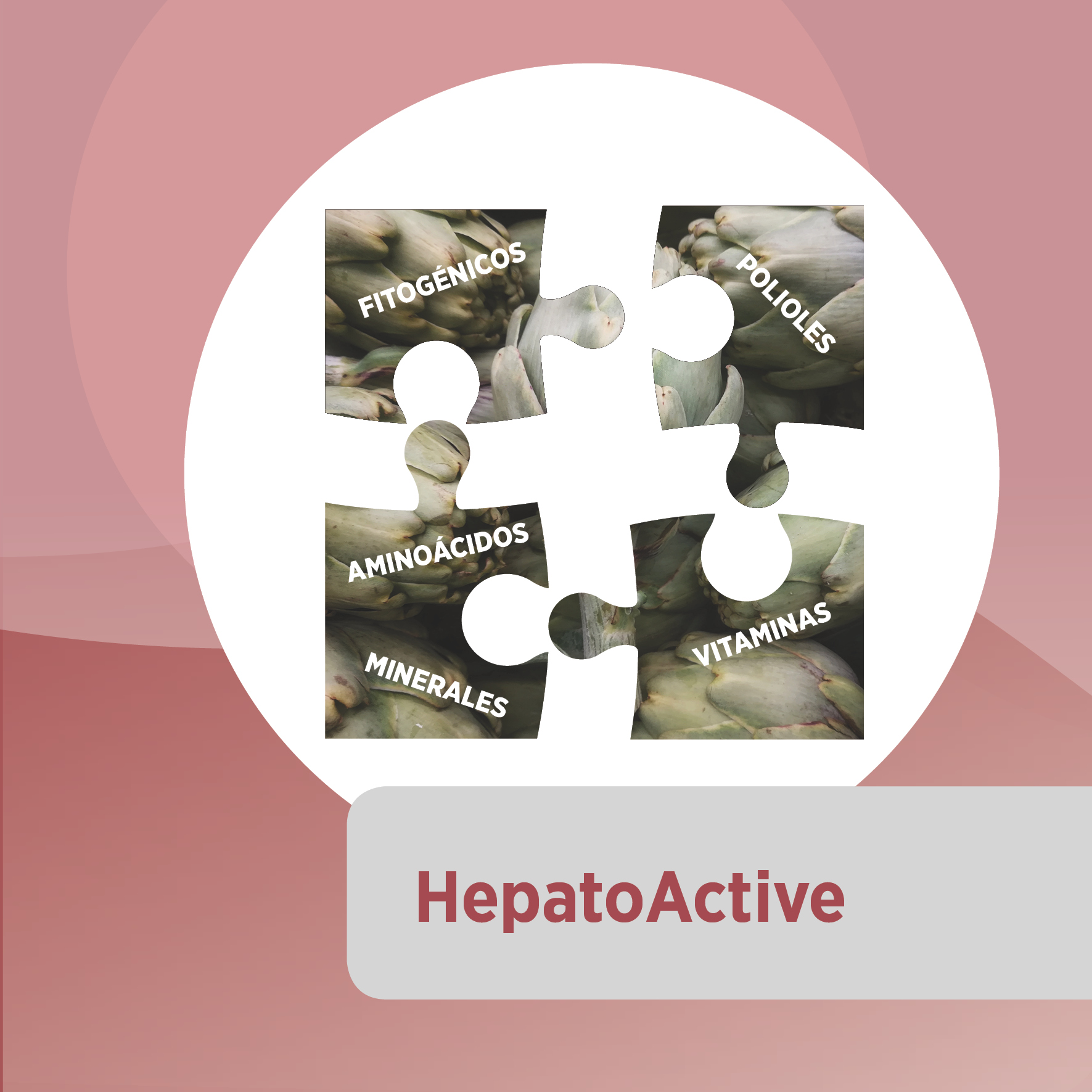 HepatoActive: Para que todo el organismo funcione en equilibrio