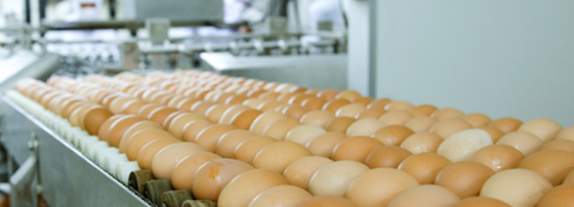 Exportaciones-huevo-brasileñas-siguen-creciendo-primer-semestre-2021