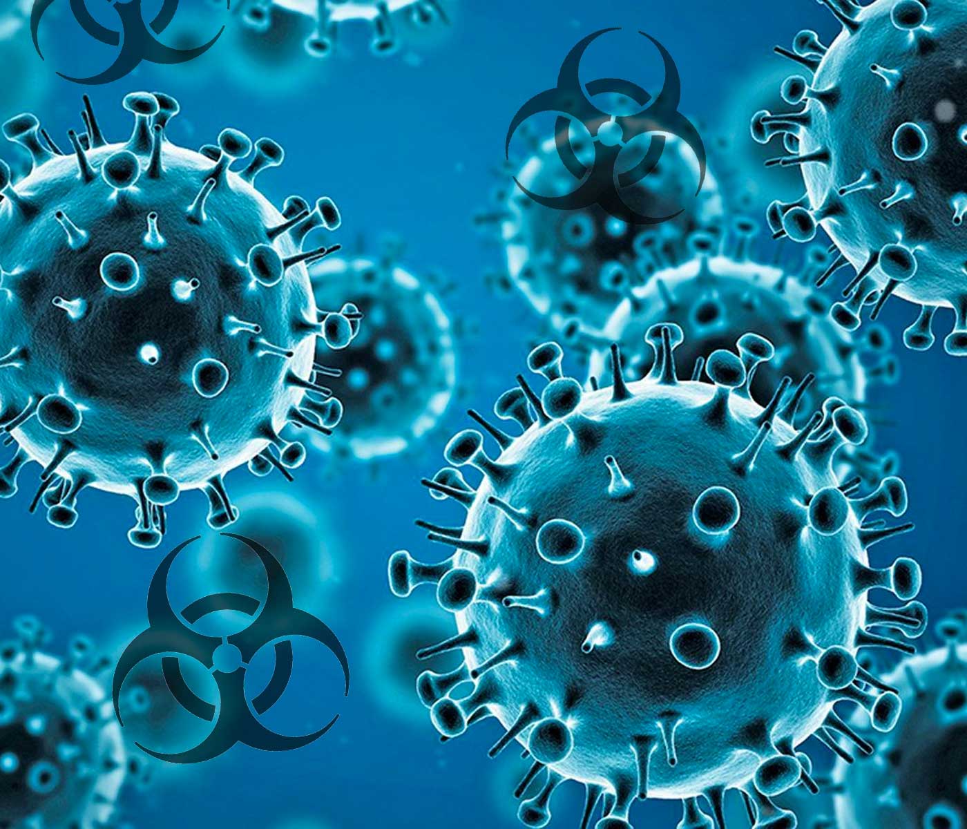 Influenza Aviar, un virus que podemos controlar gracias a la bioseguridad