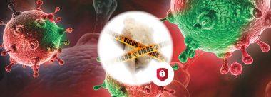Influenza Aviária: Uma Ameaça para a Avicultura Brasileira?