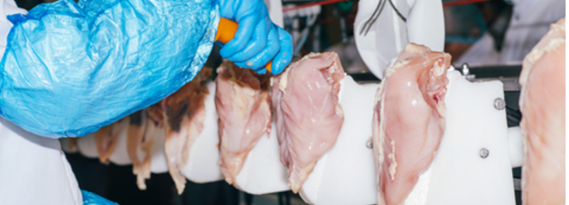 Exportaciones de carne de pollo brasileñas: ¡Obtienen el tercer mejor resultado de su historia en julio 2021!