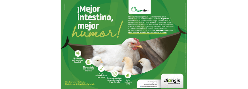 Mejore el humor, aumente la productividad: Biorigin invita a los productores a cuidar la salud intestinal de sus animales