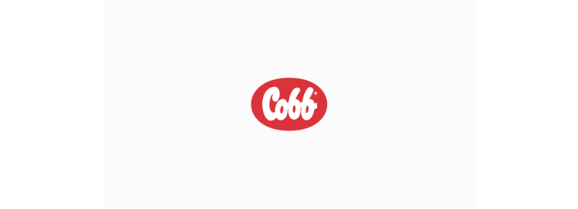 Cobb debate manejo de pintinho e produção livre de antibiótico em webinar