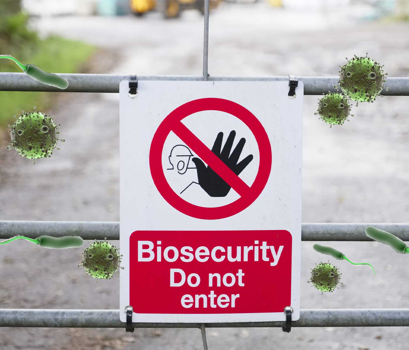 Bioseguridad, su historia contra las principales bacterias zoonósicas en avicultura