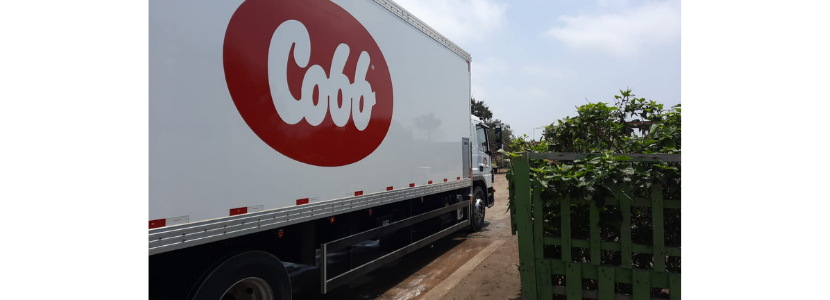 Cobb-Vantress moderniza frota de caminhões no Peru
